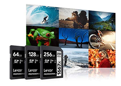 Amazon | レキサー Lexar Professional 1667x SDXC UHS-IIカード